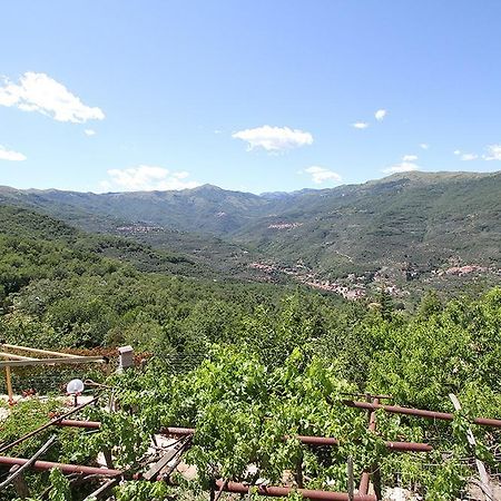 Agriturismo Nonni Devia Lucinasco Dış mekan fotoğraf