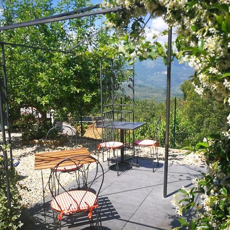 Agriturismo Nonni Devia Lucinasco Dış mekan fotoğraf