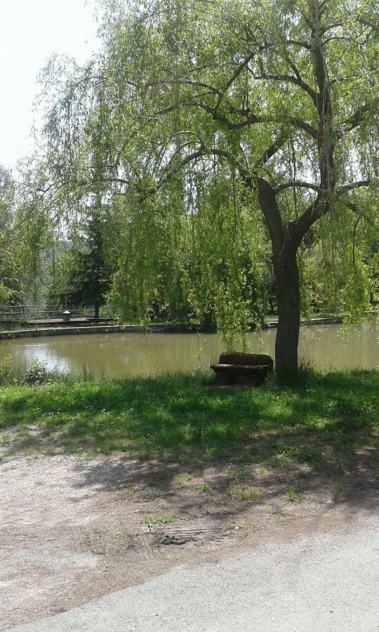 Agriturismo Nonni Devia Lucinasco Dış mekan fotoğraf
