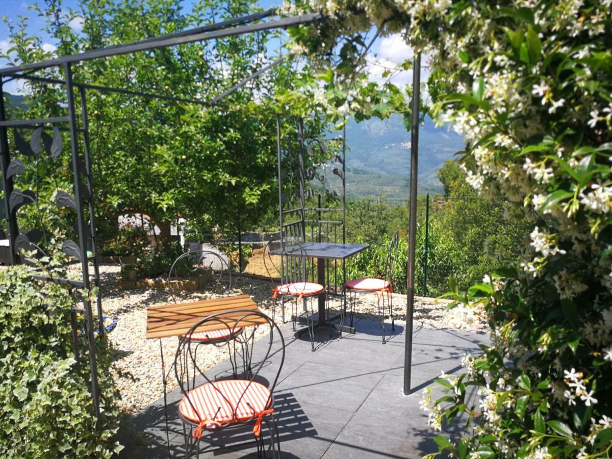 Agriturismo Nonni Devia Lucinasco Dış mekan fotoğraf